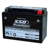 Rtx15L-Bs High Peformance Agm Motorcycle Battery