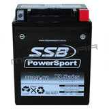 Rb14L-A2 High Peformance Agm Motorcycle Battery